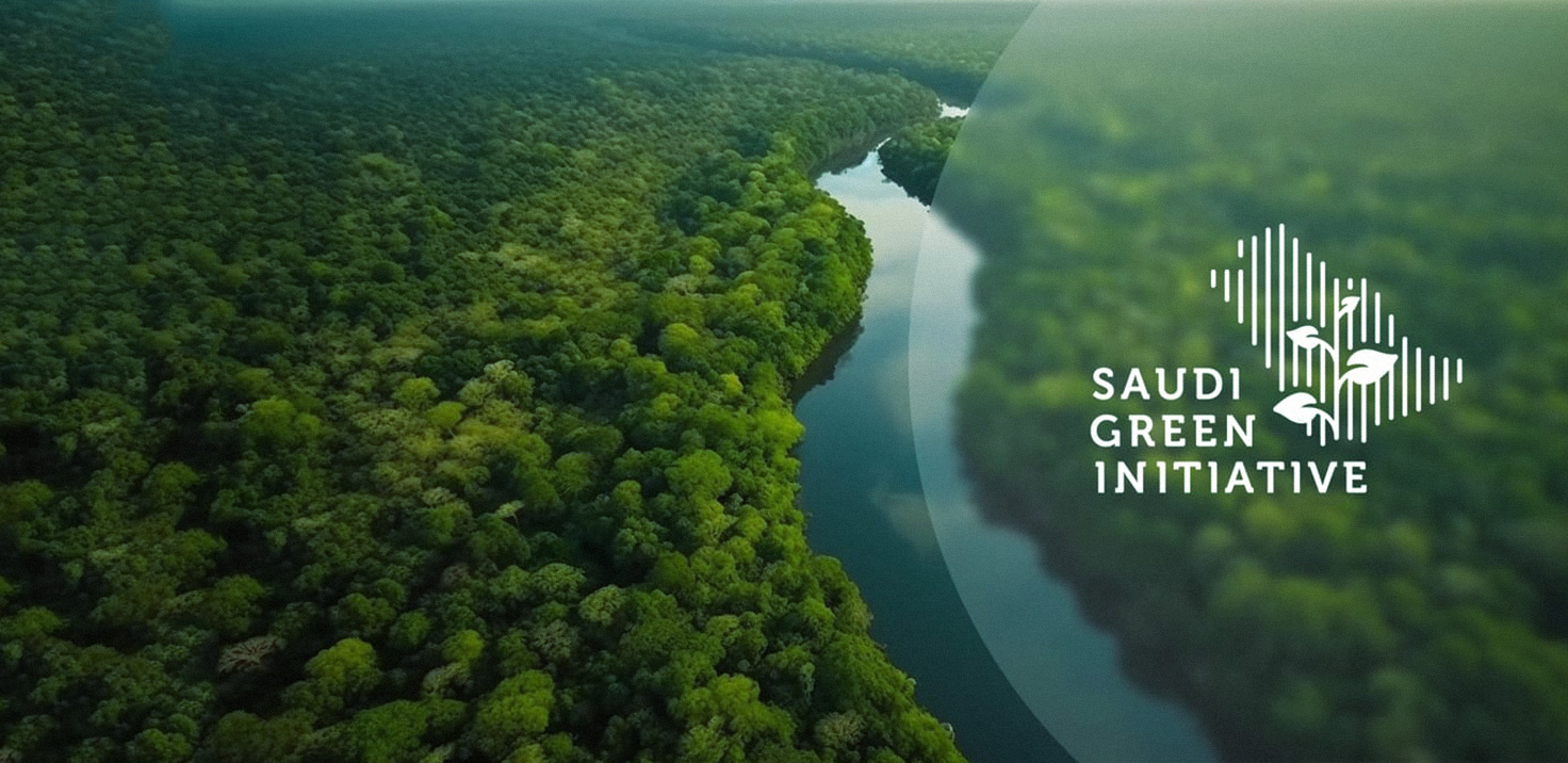 أفق المملكة TCG kingdom horizon d أفق المملكة TCG