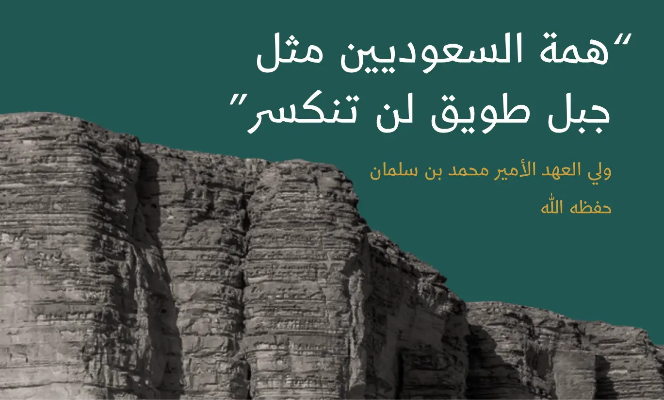 mountain الرئيسية TCG