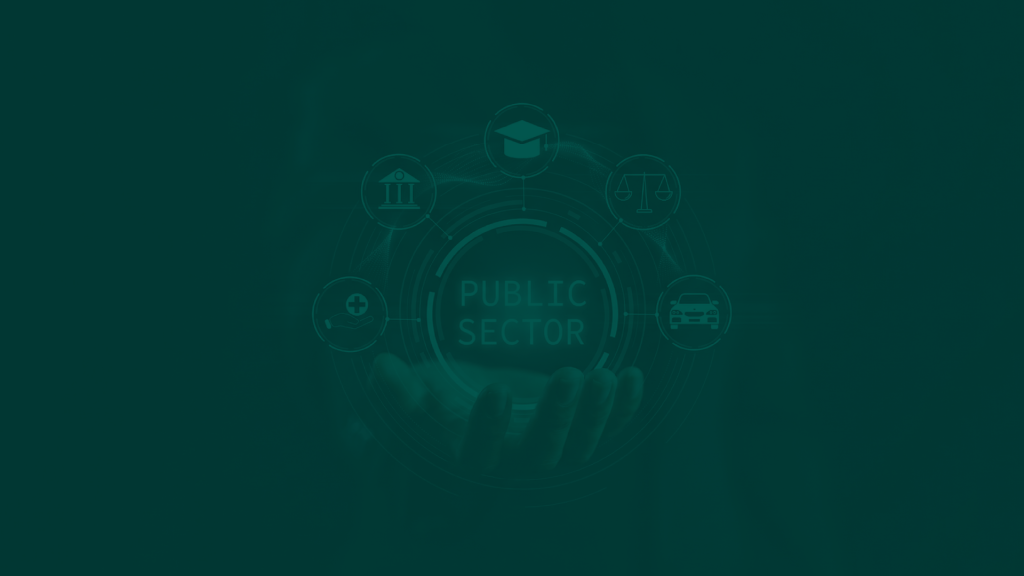 حوكمة هيئات القطاع العام