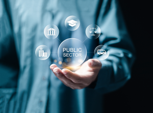 حوكمة القطاع العام
